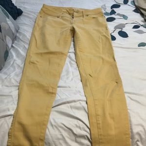Mustard Yellow Skinny Jeans